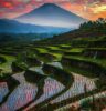 Why Bali is so Different and Special From The Rest of The Country