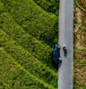 What to do if Have a Car or Scooter Accident in Bali - Canggu Shortcut | BaliKit
