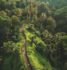 Campuhan Ridge Walk- Guide in Ubud, Bali | BaliKit
